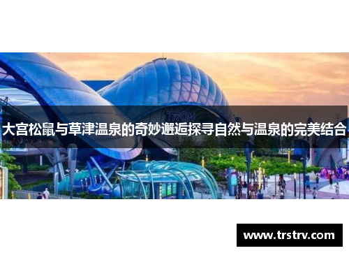 大宫松鼠与草津温泉的奇妙邂逅探寻自然与温泉的完美结合
